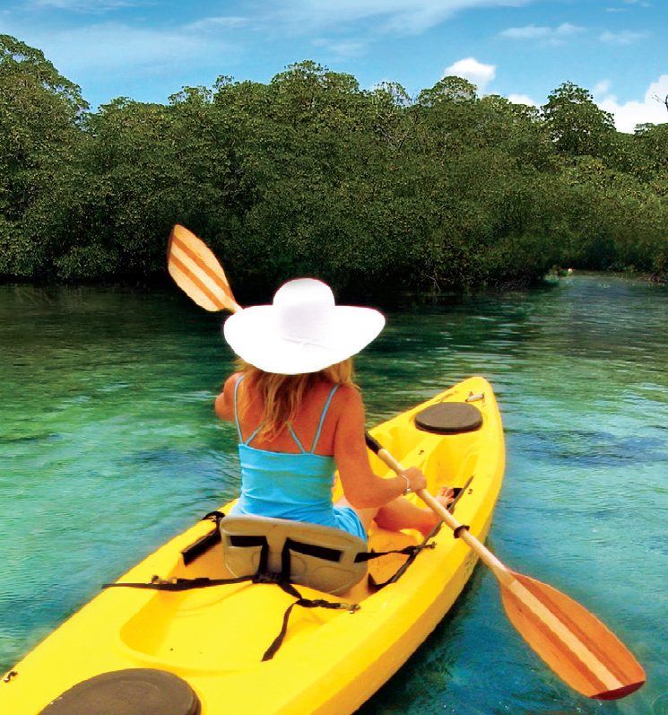 kayak through the mangroves