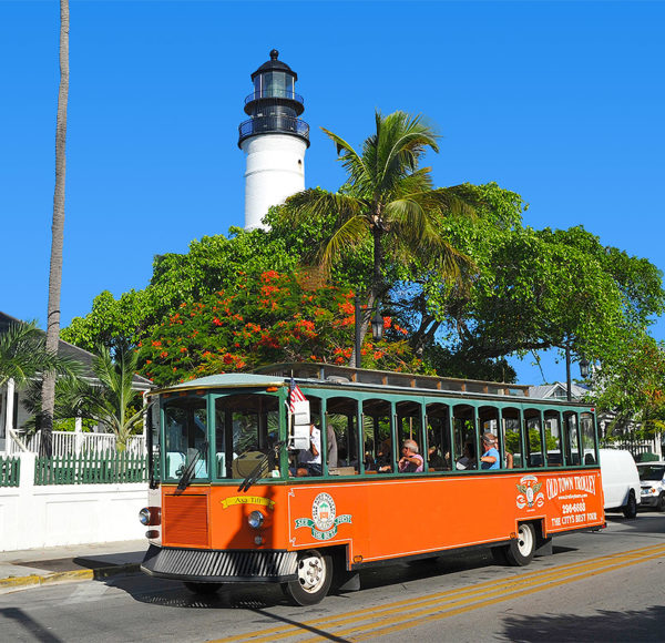 Trolley Tour