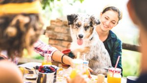 dog and owner eating at table