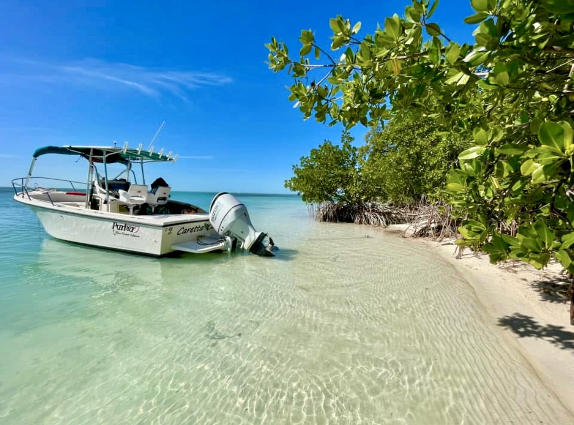 Key West Sandbar charters